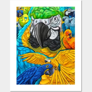 Parrots Posters and Art